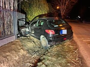 na zdjęciu widać samochód osobowy marki Peugeot koloru ciemnego, który uderzył w ogrodzenie posesji i zawisł na nim. Drzwi do samochodu są otwarte od strony kierowcy