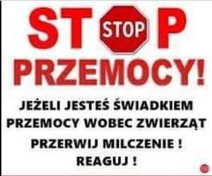 Na białym tle jest napis Stop przemocy. Jeśli jesteś świadkiem przemocy wobec zwierząt przerwij milczenie i reaguj!