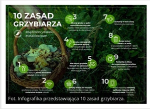 grafika przedstawia 10 zasad bezpiecznego grzybobrania