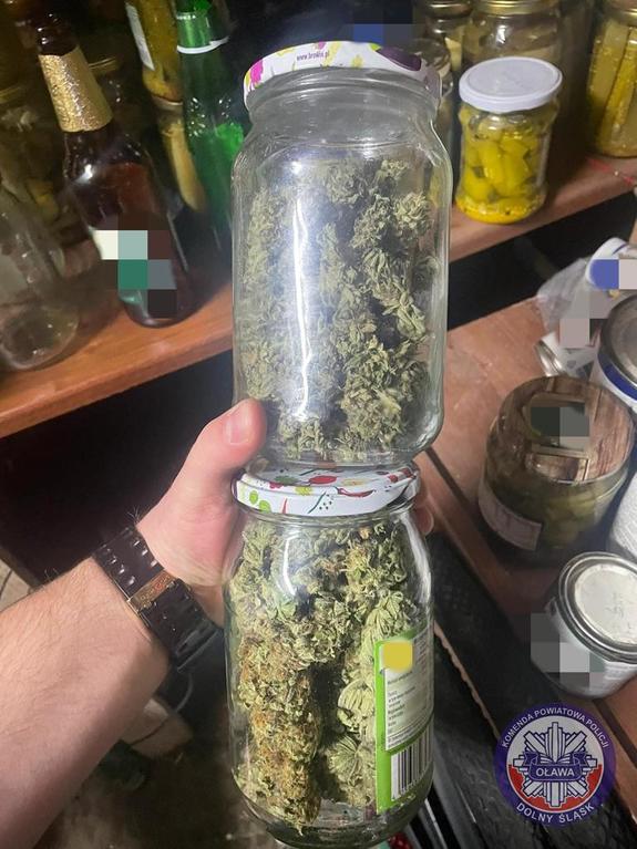 dwa szklane słoiki zawierające susz roślinny - marihuanę