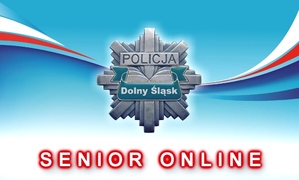 senior online