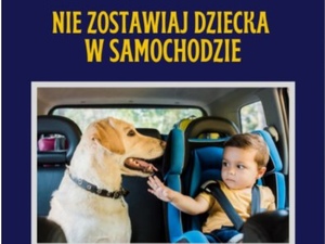 Nigdy nie zostawiaj dzieci i zwierząt w samochodzie