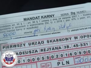 wzór mandatu karnego kredytowanego
