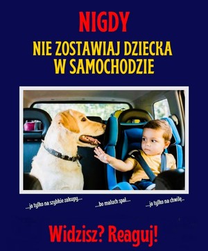 Nigdy nie zostawiaj dziecka w samochodzie! Widzisz? Reaguj!