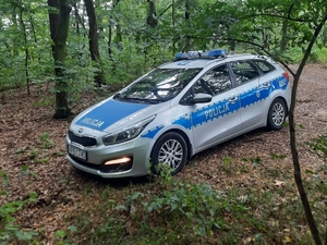 radiowóz w lesie