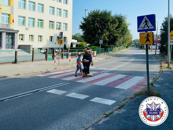 na przejściu dla pieszych obok szkoły znajduje się chłopiec idący za rękę z Komisarzem Lwem