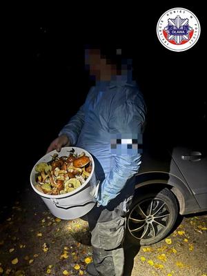 Zagubiony grzybiarz odnaleziony przez policjantów