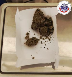 susz roślinny - marihuana