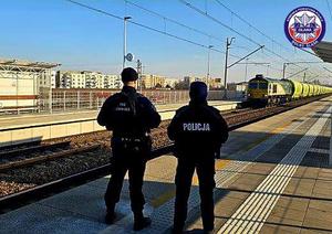 Policja i SOK podczas działań "Aktywna Tarcza"