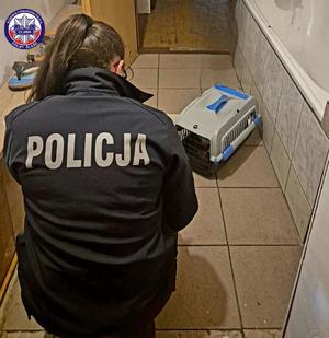 policjantka zabezpieczająca pozostawionego bez opieki kota