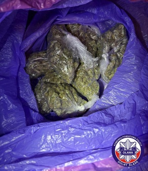 worki z suszem roślinnym - marihuaną