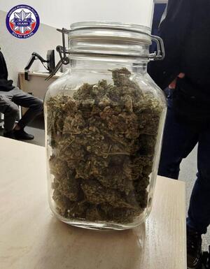 szklany słoik z zawartością suszu roślinnego - marihuany