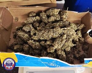 zabezpieczona marihuana