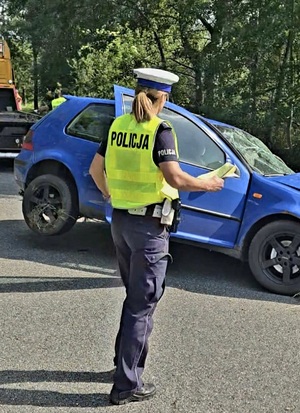wypadek w miejscowości Brzezinki