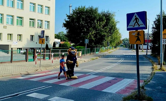 Komisarz lew z uczniem na przejściu dla pieszych