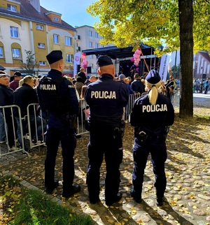 zabezpieczenie imprezy masowej